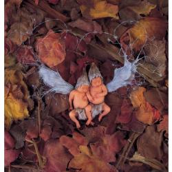 anne geddes - really cool looking