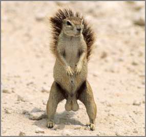 Got Nuts? - He does!