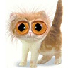 lol - crazy cat