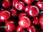 Cherry - Red Cherries