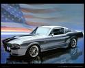 Shelby Mustang  - Shelby Mustang!