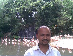 MyPhoto - I am in Jurong Bird Park
