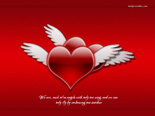 angel love - angel love, greaet pic isnt ?