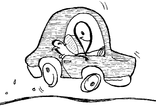 driving a car - back seat driver