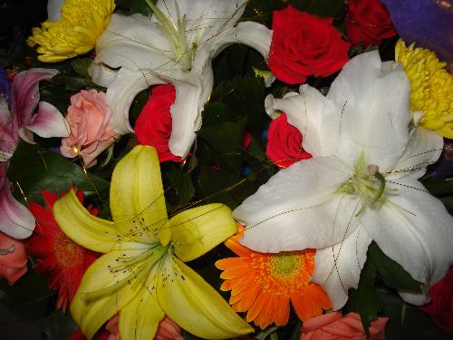 Flowers - A basket of flowers. Mostly stargazers.