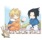 naruto and sasuke - From the anime Naruto. The picture shows Naruto, the leading character of the show, and Sasuke, Naruto's bestfriend and rival.