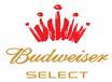 BUDWEISER SELECT - BUDWEISER SELECT