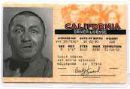 Drivers License - Card