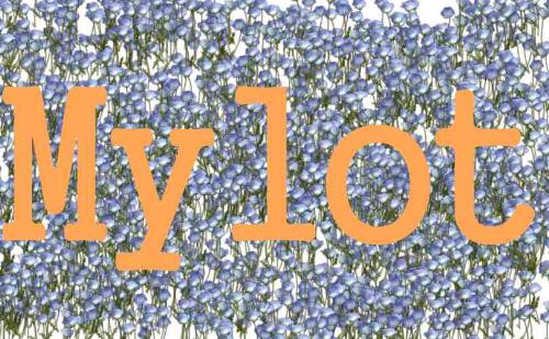 Mylot - Mylot art made with Corel Painter.