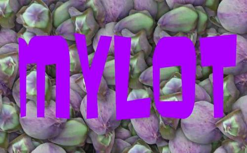 Mylot - Mylot art made with Corel Painter.