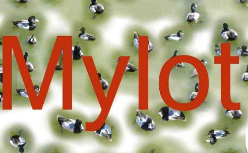 Mylot - Mylot art made with Corel Painter.