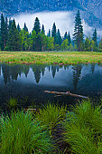 Yosemite Valley - Scenic view of Yosemite Valley in Yosemite National Park