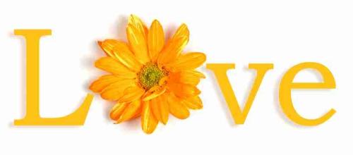 love - This is a love word with a flower instead of letter o.