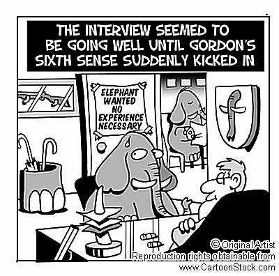 Elephant's sixth sense - see this elephant and how he know it is danger to keep him self in this interview. Elephant's sixth sense - see this elephant and how he know it is danger to keep him self in this interview.