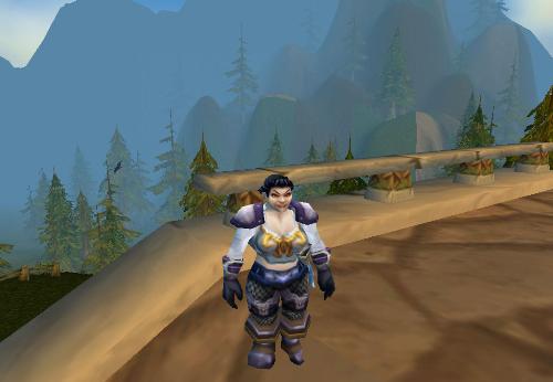 world of warcraft - Dwarven warrior on world of warcraft