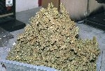 marajuana - marajuana should be legal and as available as beer