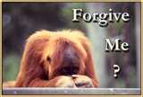 forgive - Its hard to forgive sometimes.