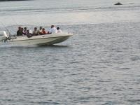 Fishing - Go fishing together with friends.