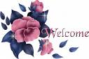 welcome - welcome to mylot`