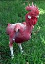 Featherless Chicken - a featherless Chicken