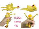 chicken - chicken laying egg