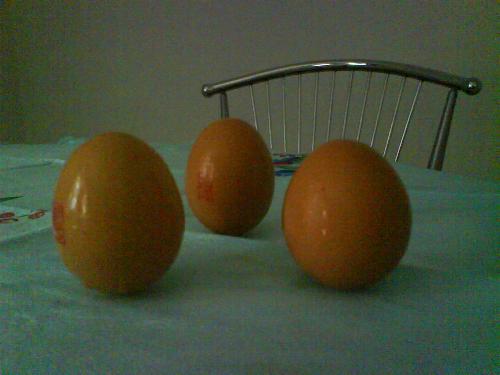 Standing Eggs - I placed 3 eggs on my table, and surprisingly it does not fall down!