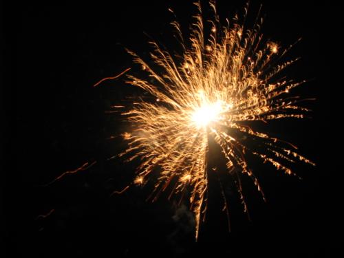 fireworks - a shot that i took with my newly purchased S5IS camera. with setting that is dedicated to shooting fireworks