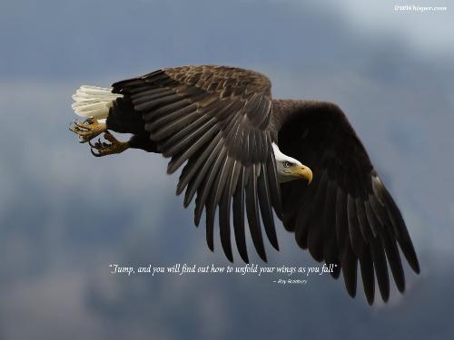 take risk - this photo gives the inspiration to take the risk to achieve something in life.if you don't take risk,you'll not dare to achieve what you want in your life.