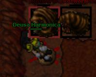My char - Actually i'm playing a game called by Tibia (bone name =p, whatever a lot of part of this game have bone names xD) this is my char...