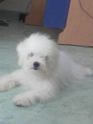 maxxie2 - My best friend!!!