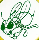 Hornets - Emmaus Hornets