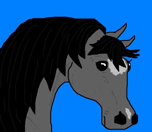 Horse I drew with MS Paint program - I like drawing horses, a lot! :-)  'A horse is the projection of peoples' dreams about themselves - strong, powerful, beautiful - and it has the capability of giving us escape from our mundane existence.' Quote by Pam Brown