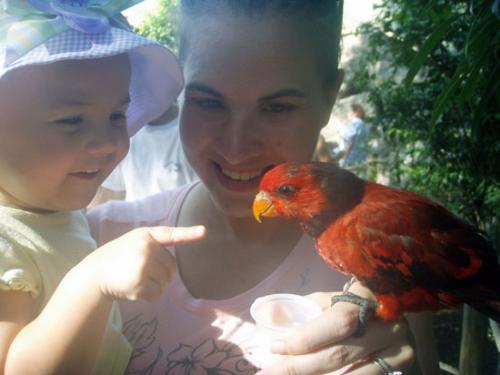 My daughter and I feeding the birds! - My daughter and I at the Aviary feeding the birds some nectar! It took her a few minutes but she got used to it, didn't really like when they buzzed her head but other than that she thought they were neat!