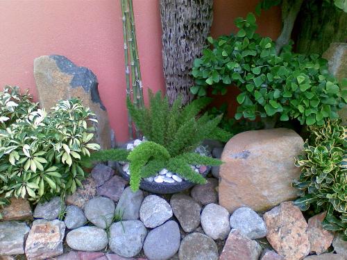 plants - this is just a corner of a small resort here in manila which i can say is perfectly landscaped inside and out. i just took this shot using nokia 6300's 2 megapixel camera.