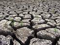 desertification - Picture of long distance of dry ground with mud peeling up like a ocean dried up