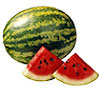 Watermelon is the thing for me. - I think watermelon is the most delicious fruit around. Bar none. The discussion said apples, bananas or grapes. But my very favorite fruit is watermelon. No fruit is better. I just had to throw this in.