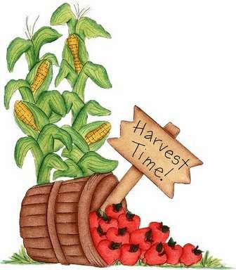 Harvest time - a cute picture of a harvest