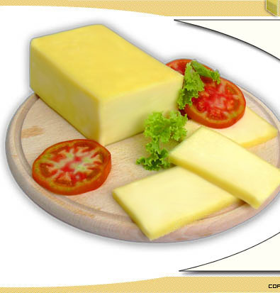 different cheese - cheese on a plate