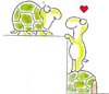 Turtles in love - Ahh how sweet turtles in love