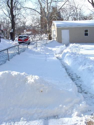 March snowstorm - This was our backyard this past March after 18+ inches of snow fell in less than a day. It was quite interesting as we had to shovel a walk for our dog to be able to go out and use the bathroom as the snow was too high for her to squat in!!!