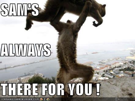 my friendship - i'm always there to uplift you, my friend !