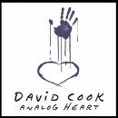 analog heart album cover - this is the cover of the first album of american idol david cook
