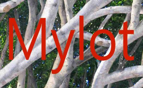 Mylot - Mylot art made with Corel Painter.
