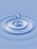 photo - server 2003 photo - server 2003