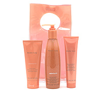 Mary Kay Satin Hands Pampering Set - This is a Hand Spa.. Do it yourself and very easy to use.