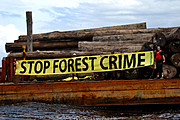 Ban Illegal timber - Illegal logging is destroying the world's ancient forests and accelerating climate change. In July the European Commission delayed a vote on proposed legislation to combat illegal logging till September.
This is an outrageous decision - every day the Commission fails act responsibly illegally sourced timber products from critical forests like the Amazon, the Congo and Indonesia continue to pour into Europe.
Please write to President Barroso to increase the pressure for a strong EU Timber law without delay.
Ban Illegal timber - Illegal logging is destroying the world's ancient forests and accelerating climate change. In July the European Commission delayed a vote on proposed legislation to combat illegal logging till September.
This is an outrageous decision - every day the Commission fails act responsibly illegally sourced timber products from critical forests like the Amazon, the Congo and Indonesia continue to pour into Europe.
Please write to President Barroso to increase the pressure for a strong EU Timber law without delay.
