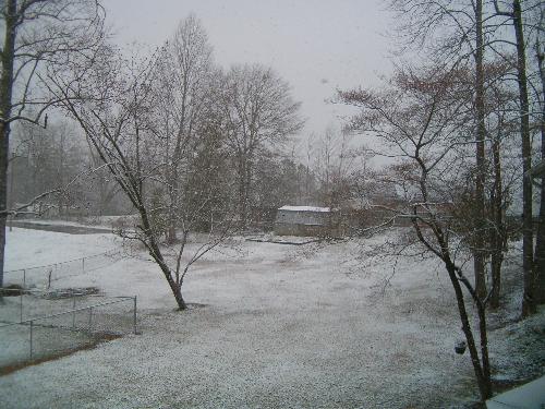 2008 winter Snow in alabama - Our first Snow this year,in Alabama ,we really do not get a lot of snow