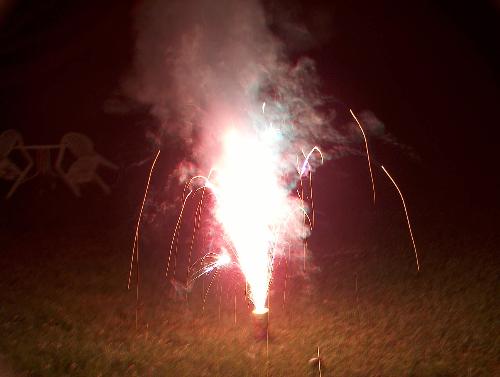 Fireworks -  I took this picture on a party we had around the Fourth of July. I thought it came out pretty good, considering it was dark out.