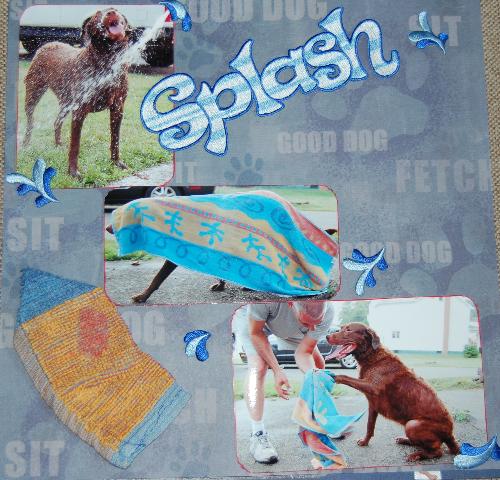 splash - our dog playing in the water hose and getting dried off