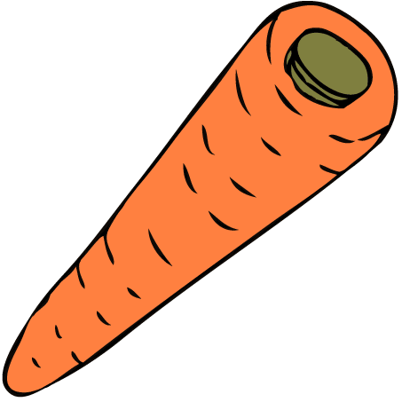 orange red carrot - the salad vegetable